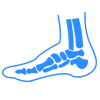 T2